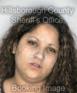 Hernandez Christine - Hillsborough County, Florida 