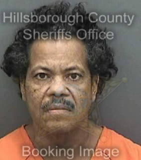 Rodriguez Ismael - Hillsborough County, Florida 