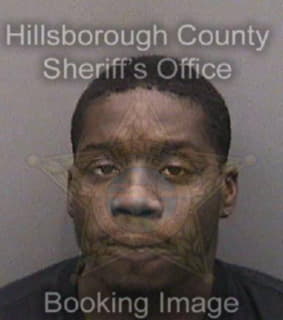 Diggs Obie - Hillsborough County, Florida 