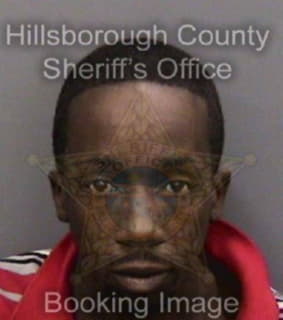 Davis Dwayne - Hillsborough County, Florida 