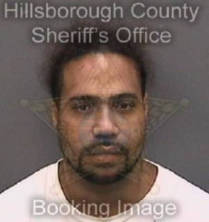 Torres Luis - Hillsborough County, Florida 