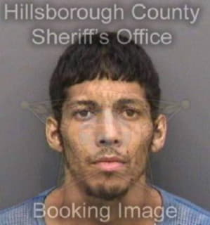 Reyes Yovonne - Hillsborough County, Florida 