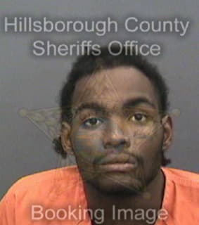 Mcgriff Amond - Hillsborough County, Florida 