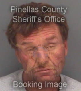 Harmon Shane - Pinellas County, Florida 