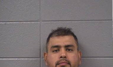 Cuevas Carlos - Cook County, Illinois 