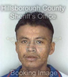 Castro Gilberto - Hillsborough County, Florida 