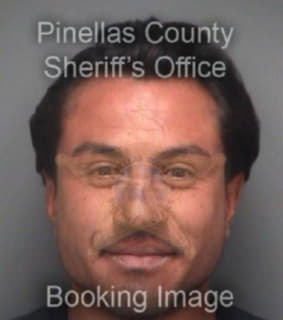 Batista Jose - Pinellas County, Florida 