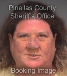 Mcelderry Karla - Pinellas County, Florida 