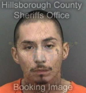 Aguilar Louis - Hillsborough County, Florida 