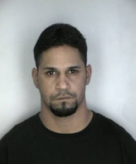 Garriga Luis - Hillsborough County, Florida 