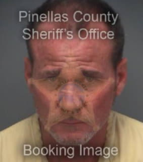 Ginley Sean - Pinellas County, Florida 