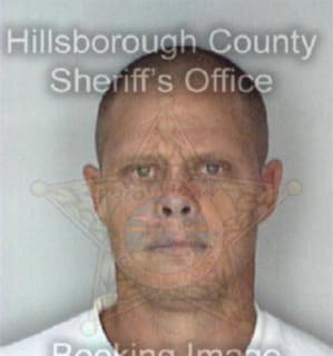 Pledger Wayne - Hillsborough County, Florida 