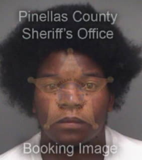 Johnson Bernard - Pinellas County, Florida 