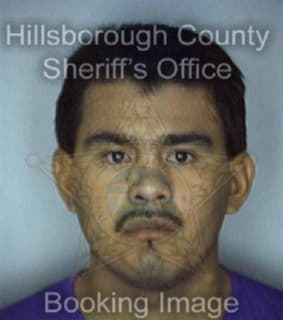 Rosales Epifann - Hillsborough County, Florida 