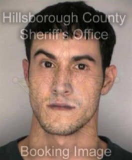 Milian Michael - Hillsborough County, Florida 