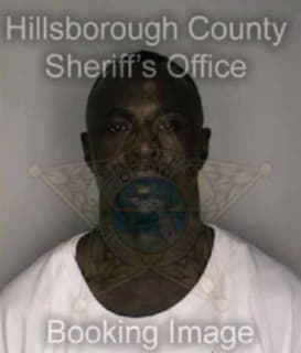 Anderson Leroy - Hillsborough County, Florida 