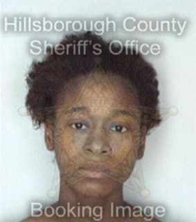 Wright Shermeka - Hillsborough County, Florida 