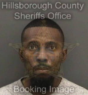 Franklin Jason - Hillsborough County, Florida 