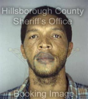 Johnson Michael - Hillsborough County, Florida 