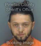 Redzic Alen - Pinellas County, Florida 