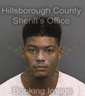 Larry Damon - Hillsborough County, Florida 