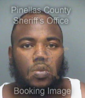 Kilpatrick Darrius - Pinellas County, Florida 