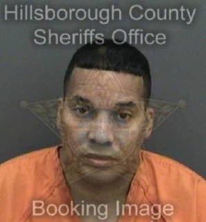 Delgado David - Hillsborough County, Florida 