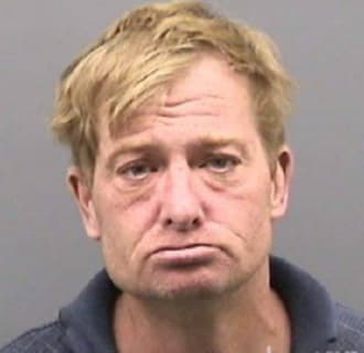 Mcgarvey Sean - Hillsborough County, Florida 