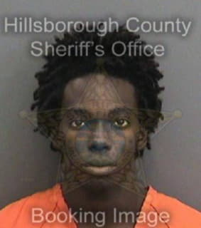 Wilkins William - Hillsborough County, Florida 