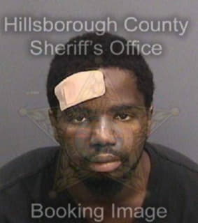 Mcintyre Jamal - Hillsborough County, Florida 