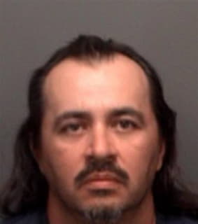 Gonzalez Ricky - Pinellas County, Florida 