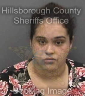 Mirabal Stacey - Hillsborough County, Florida 