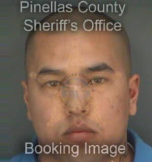 Dinh Julian - Pinellas County, Florida 