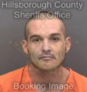 Patton Michael - Hillsborough County, Florida 