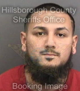 Ortizmartinez Miguel - Hillsborough County, Florida 