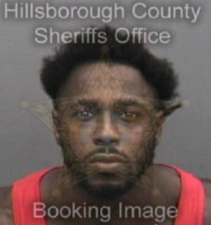 Ray Myron - Hillsborough County, Florida 