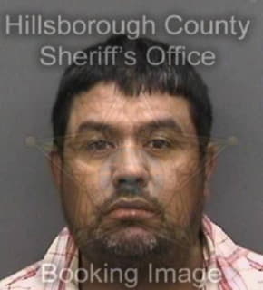 Darin Gerardo - Hillsborough County, Florida 