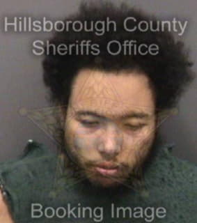 Ortega Jonathan - Hillsborough County, Florida 