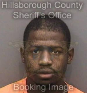 Randall Remus - Hillsborough County, Florida 