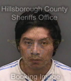 Vasqueztomas Selvin - Hillsborough County, Florida 