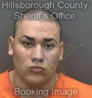 Agostini Anthony - Hillsborough County, Florida 