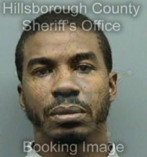 Williams Felix - Hillsborough County, Florida 