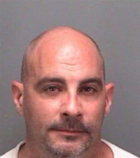 Ritzel Michael - Pinellas County, Florida 