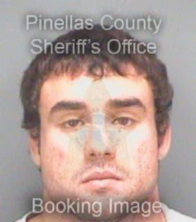 Hogan Michael - Pinellas County, Florida 