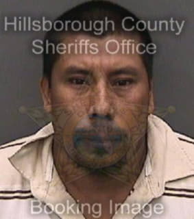 Lopezramos Noe - Hillsborough County, Florida 