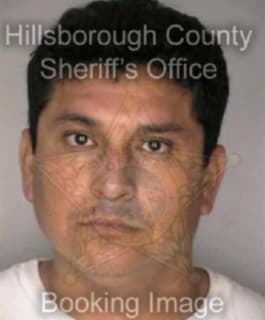 Ontiveros Sergio - Hillsborough County, Florida 