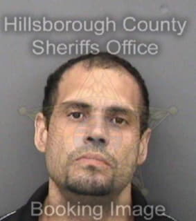 Ortiz Alexander - Hillsborough County, Florida 