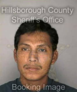 Perez Anselmo - Hillsborough County, Florida 