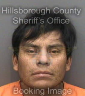 Perezperez Fernando - Hillsborough County, Florida 