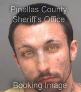 Defillippo James - Pinellas County, Florida 